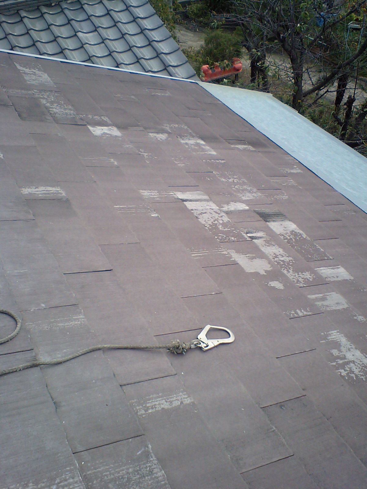 CA380112.jpg