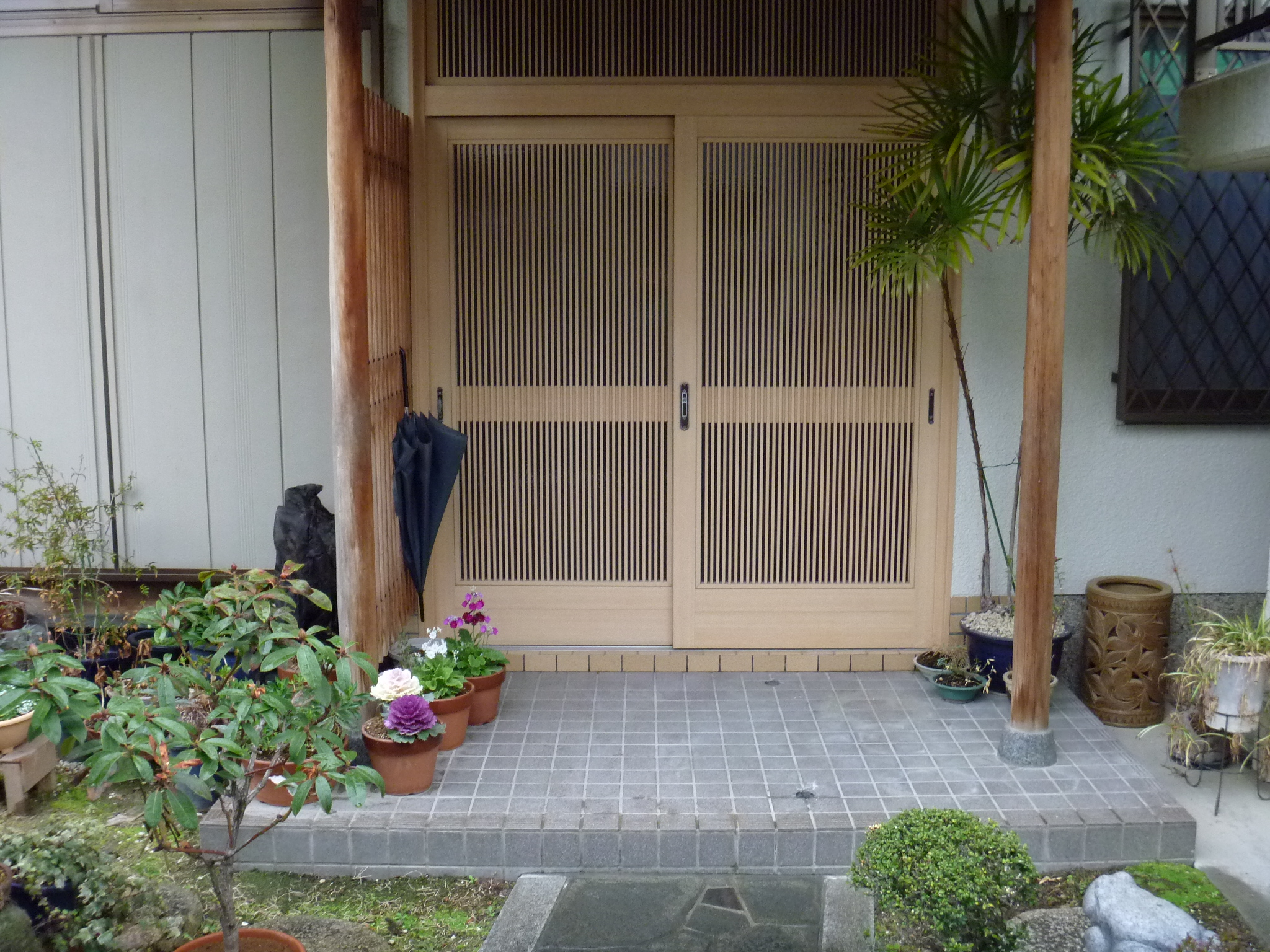 P1000011.JPG