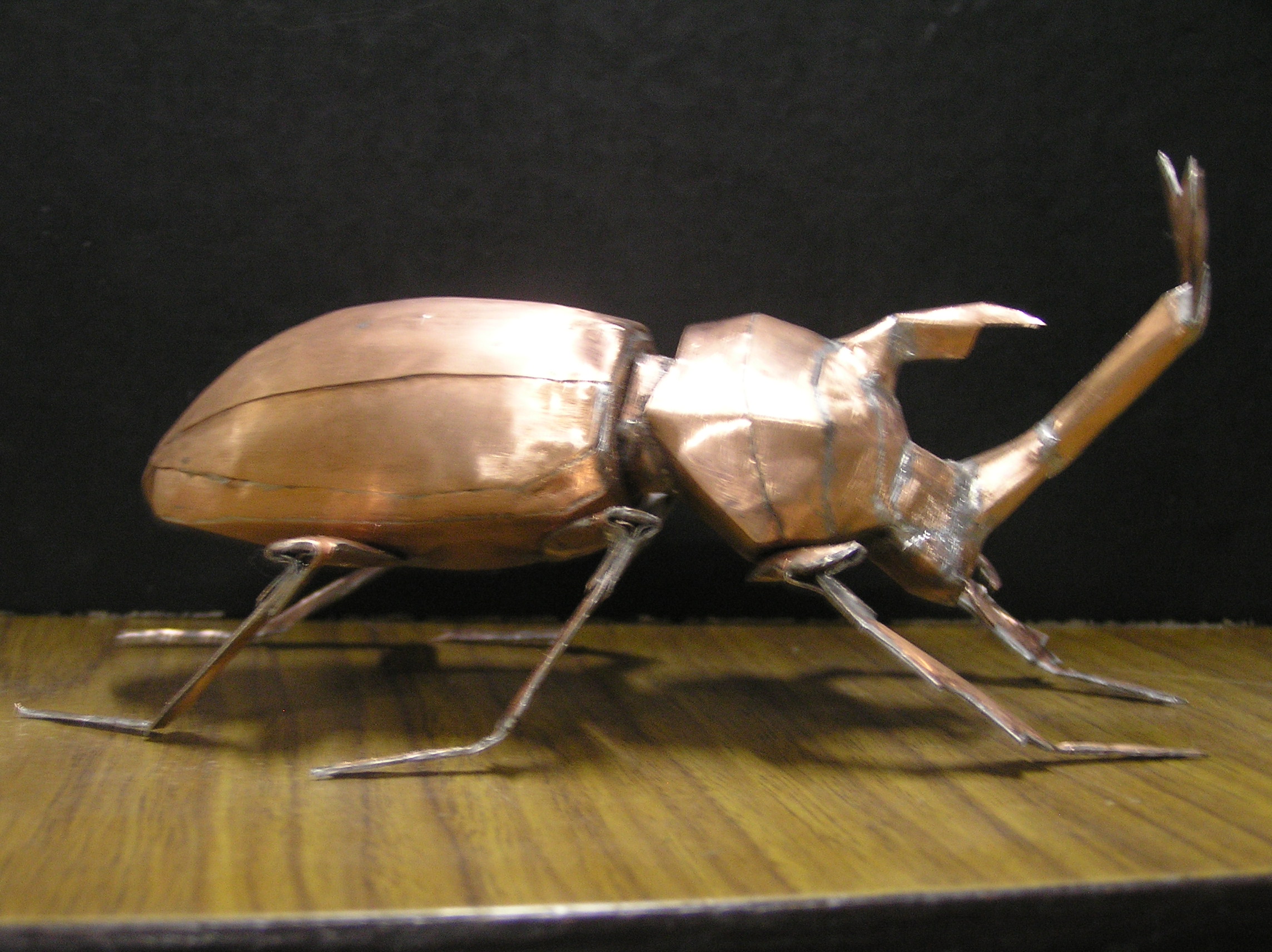 PA070156.JPG